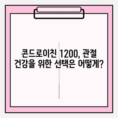 콘드로이친 1200| 관절 건강을 위한 선택 | 관절 영양제, 효능, 부작용, 복용 가이드