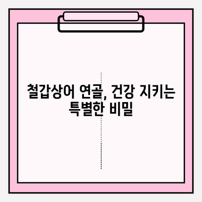 뮤코다당단백 콘드로이친 1200의 위력| 철갑상어 연골의 놀라운 효능 | 건강, 관절, 항염증, 콜라겐