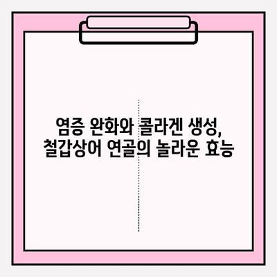 뮤코다당단백 콘드로이친 1200의 위력| 철갑상어 연골의 놀라운 효능 | 건강, 관절, 항염증, 콜라겐