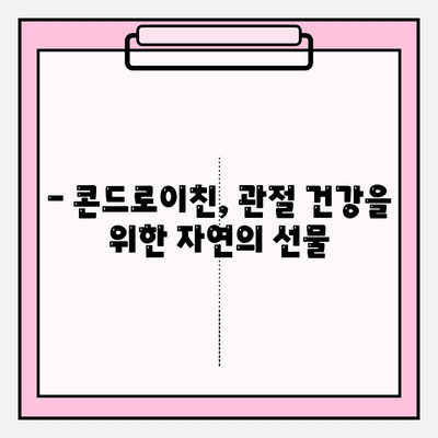 콘드로이친| 건강한 관절을 위한 자연의 치료제 | 효능, 부작용, 복용법, 추천 제품