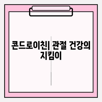 콘드로이친 효능과 활용 방법 완벽 가이드 | 건강, 관절 건강, 연골 건강, 영양제