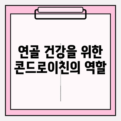 콘드로이친 효능과 활용 방법 완벽 가이드 | 건강, 관절 건강, 연골 건강, 영양제