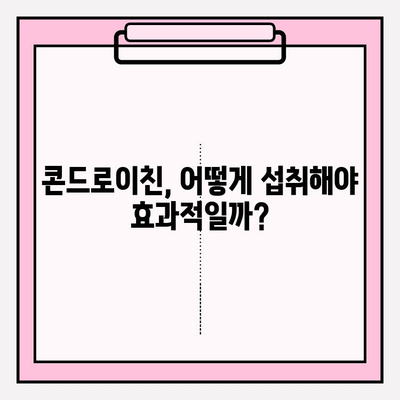 콘드로이친 효능과 활용 방법 완벽 가이드 | 건강, 관절 건강, 연골 건강, 영양제