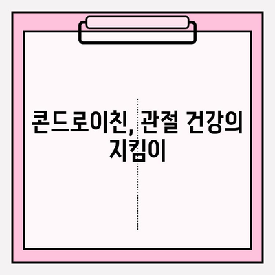 콘드로이친의 놀라운 힘| 관절 건강 증진의 열쇠 | 관절 건강, 연골, 통증 완화, 건강 정보