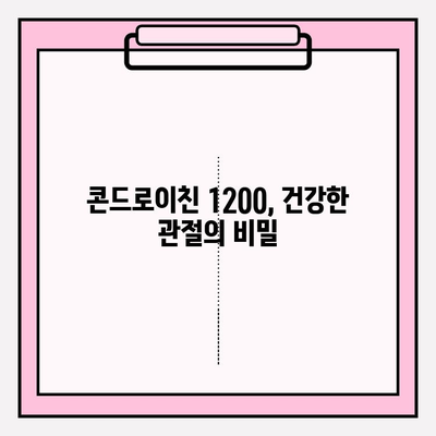 콘드로이친 1200| 건강한 관절을 위한 필수 영양소 | 효능, 복용법, 주의사항 완벽 가이드