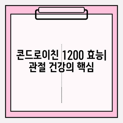 콘드로이친 1200| 건강한 관절을 위한 필수 영양소 | 효능, 복용법, 주의사항 완벽 가이드