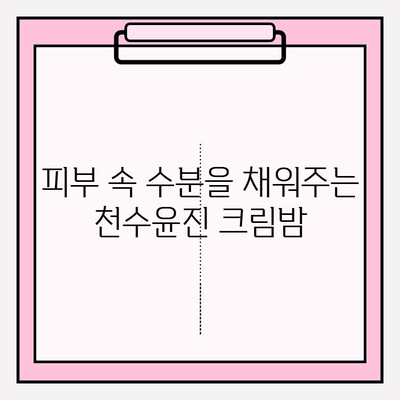 천수윤진 크림밤으로 탄탄한 피부 기반 만들기| 촉촉하고 건강한 피부를 위한 솔루션 | 천수윤진, 크림밤, 피부 관리, 탄력, 수분