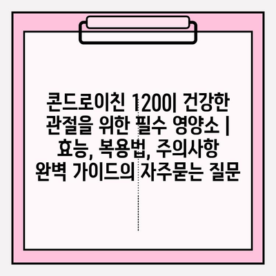 콘드로이친 1200| 건강한 관절을 위한 필수 영양소 | 효능, 복용법, 주의사항 완벽 가이드