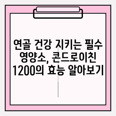 콘드로이친 1200| 관절 건강 지키는 똑똑한 선택 | 관절 건강, 건강 기능 식품, 연골 건강