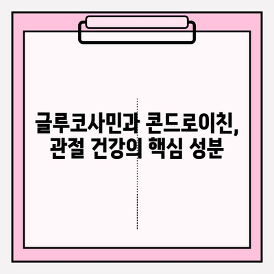 관절 통증 완화를 위한 최적의 조합| 글루코사민 & 콘드로이친 | 관절 건강, 연골 재생, 효과적인 통증 관리