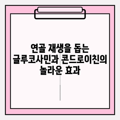 관절 통증 완화를 위한 최적의 조합| 글루코사민 & 콘드로이친 | 관절 건강, 연골 재생, 효과적인 통증 관리