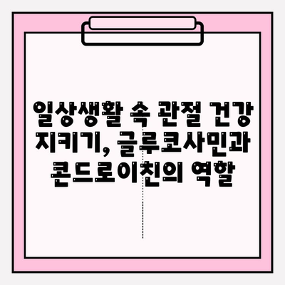 관절 통증 완화를 위한 최적의 조합| 글루코사민 & 콘드로이친 | 관절 건강, 연골 재생, 효과적인 통증 관리