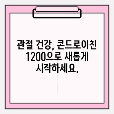 기능성 콘드로이친 1200, 관절 건강 관리의 새로운 지평 | 관절 건강, 콘드로이친, 건강 기능성, 효과