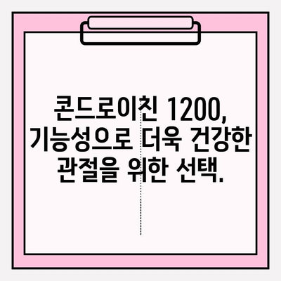 기능성 콘드로이친 1200, 관절 건강 관리의 새로운 지평 | 관절 건강, 콘드로이친, 건강 기능성, 효과