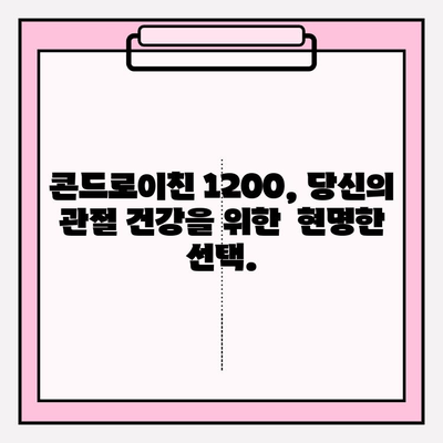 기능성 콘드로이친 1200, 관절 건강 관리의 새로운 지평 | 관절 건강, 콘드로이친, 건강 기능성, 효과