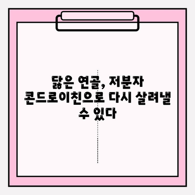 건강한 관절 유지의 비밀, 저분자 콘드로이친의 놀라운 효과 | 관절 건강, 연골 재생, 통증 완화, 건강 정보