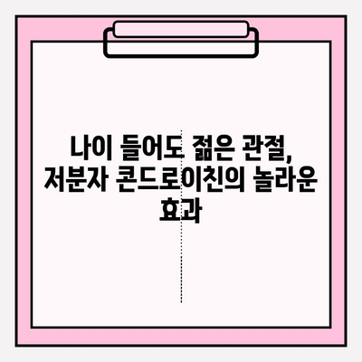 건강한 관절 유지의 비밀, 저분자 콘드로이친의 놀라운 효과 | 관절 건강, 연골 재생, 통증 완화, 건강 정보