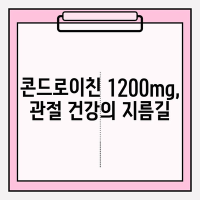 관절 건강 지키는 똑똑한 선택! 콘드로이친 1200mg 영양제 추천 가이드 | 관절 통증, 연골 건강, 건강 기능 식품