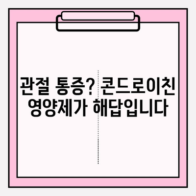 관절 건강 지키는 똑똑한 선택! 콘드로이친 1200mg 영양제 추천 가이드 | 관절 통증, 연골 건강, 건강 기능 식품