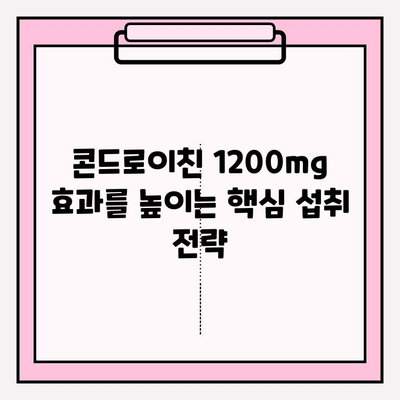 콘드로이친 1200mg 영양제, 식생활에 효과적으로 녹이는 5가지 팁 | 건강, 관절, 영양제, 섭취법