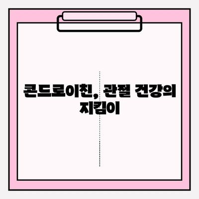 관절 건강을 위한 강력한 영양소| 콘드로이친의 효능과 섭취 가이드 | 관절 통증, 연골 건강, 건강 보조 식품