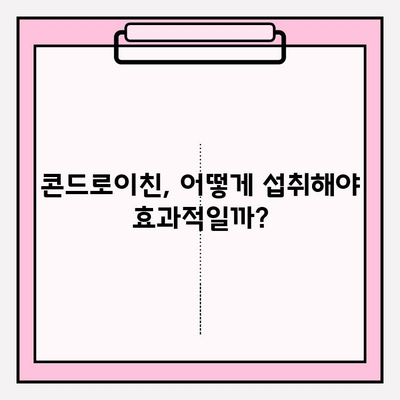 관절 건강을 위한 강력한 영양소| 콘드로이친의 효능과 섭취 가이드 | 관절 통증, 연골 건강, 건강 보조 식품