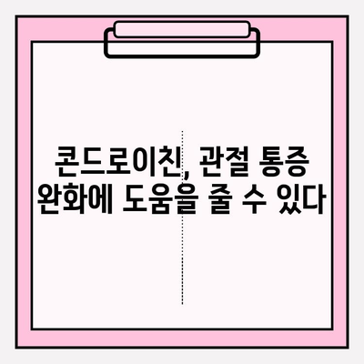 관절 건강을 위한 강력한 영양소| 콘드로이친의 효능과 섭취 가이드 | 관절 통증, 연골 건강, 건강 보조 식품