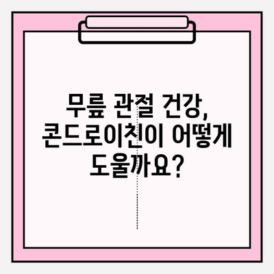 무릎 통증 완화, 콘드로이친 효과는? | 콘드로이친, 무릎 통증, 관절 건강