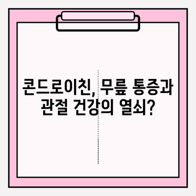 무릎 통증 완화, 콘드로이친 효과는? | 콘드로이친, 무릎 통증, 관절 건강