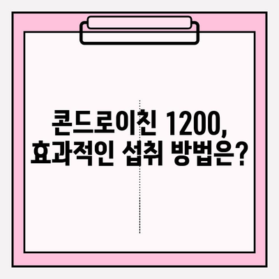 콘드로이친 1200, 효능과 부작용 완벽 분석 | 건강 정보, 관절 건강, 보충제