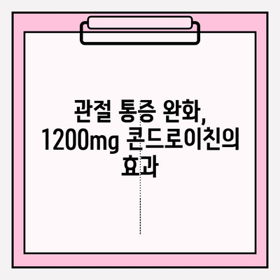 콘드로이친 1200mg| 관절 건강을 위한 효과적인 선택 | 관절 건강, 연골 건강, 통증 완화, 섭취 가이드