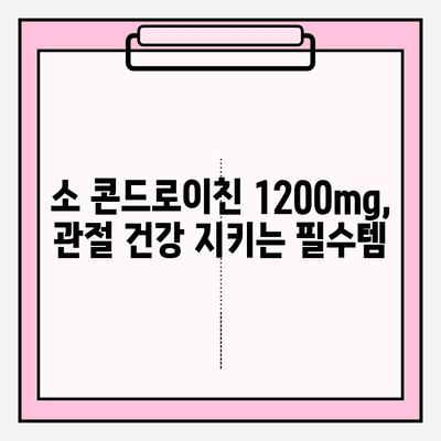 소 콘드로이친 1200mg 영양제| 관절 건강을 위한 선택 | 관절 연골 관리, 건강 기능성, 효능, 복용법