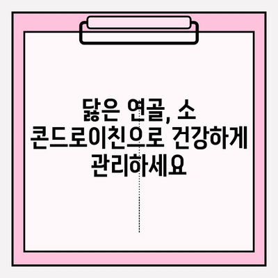 소 콘드로이친 1200mg 영양제| 관절 건강을 위한 선택 | 관절 연골 관리, 건강 기능성, 효능, 복용법