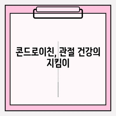 관절 건강 지키는 필수 영양소| 콘드로이친의 효능과 섭취 방법 | 관절 통증, 연골 건강, 건강 정보