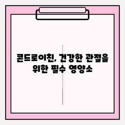 관절 건강 지키는 필수 영양소| 콘드로이친의 효능과 섭취 방법 | 관절 통증, 연골 건강, 건강 정보