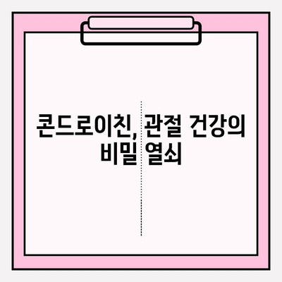 콘드로이친과 관절 건강| 효과적인 상호 작용 알아보기 | 관절 건강, 연골 건강, 건강 정보