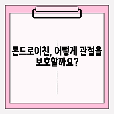 콘드로이친과 관절 건강| 효과적인 상호 작용 알아보기 | 관절 건강, 연골 건강, 건강 정보