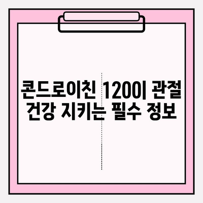 콘드로이친 1200| 효능, 부작용, 섭취 방법 총정리 | 관절 건강, 연골 건강, 건강 정보