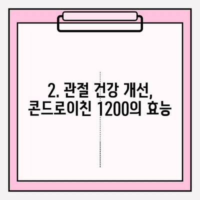 콘드로이친 1200| 효능, 부작용, 섭취 방법 총정리 | 관절 건강, 연골 건강, 건강 정보