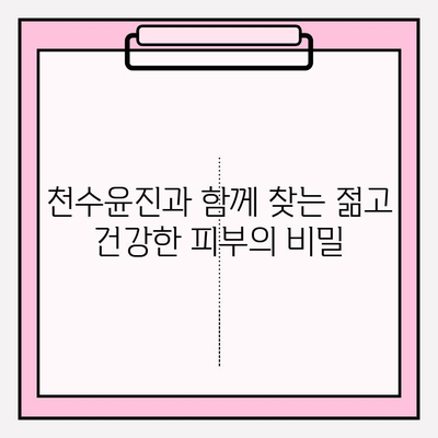 천수윤진 화장품 투자로 시간을 거스르는 피부 관리| 효과적인 사용법과 전문가 추천 | 천수윤진, 피부 관리, 안티에이징, 화장품 투자