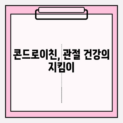 관절 건강 지키는 비법! 콘드로이친의 역할과 효과 | 관절염 예방, 관리, 건강 기능 식품, 건강 정보