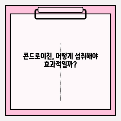 관절 건강 지키는 비법! 콘드로이친의 역할과 효과 | 관절염 예방, 관리, 건강 기능 식품, 건강 정보