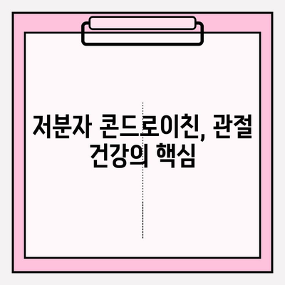 관절 건강 지키는 필수 영양소, 저분자 콘드로이친의 중요성 | 관절 건강, 연골 건강, 저분자 콘드로이친 효능