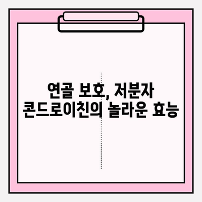 관절 건강 지키는 필수 영양소, 저분자 콘드로이친의 중요성 | 관절 건강, 연골 건강, 저분자 콘드로이친 효능