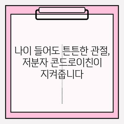 관절 건강 지키는 필수 영양소, 저분자 콘드로이친의 중요성 | 관절 건강, 연골 건강, 저분자 콘드로이친 효능