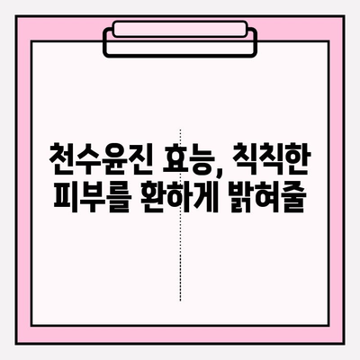 천수윤진, 생명력을 담은 화장품으로 피부에 활력을 더하세요 | 천수윤진 화장품, 효능, 사용 후기, 구매 가이드