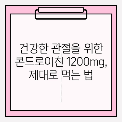 콘드로이친 1200mg 영양제, 식생활에 효과적으로 녹이는 5가지 팁 | 건강, 관절, 영양제, 섭취법