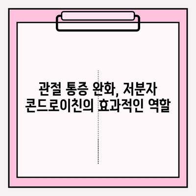 관절 건강 지키는 필수 영양소, 저분자 콘드로이친의 중요성 | 관절 건강, 연골 건강, 저분자 콘드로이친 효능