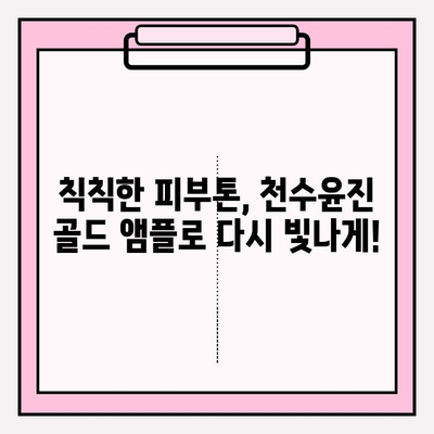 50대, 천수윤진 골드앰플로 되찾는 광채 피부| 기초 화장품 추천 & 사용 가이드 | 50대 피부 고민, 천수윤진, 골드 앰플, 광채 피부, 기초 화장품