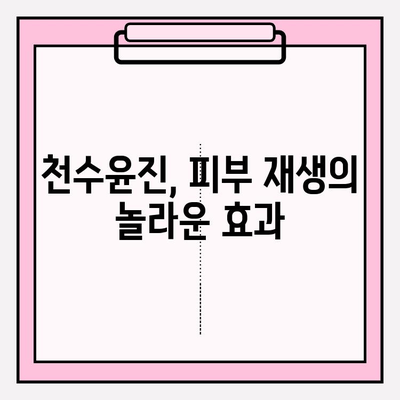 줄기세포 화장품의 매력| 천수윤진, 피부 회춘의 비밀을 밝히다 | 줄기세포 화장품, 천수윤진 효과, 피부 재생, 안티에이징